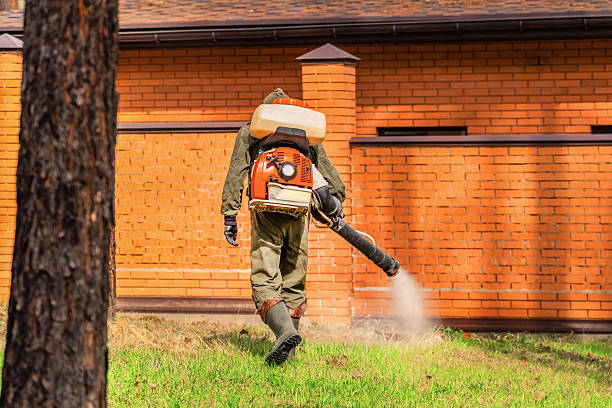 Trusted Ant Control service in Piermont, NY - Nex Pest Control